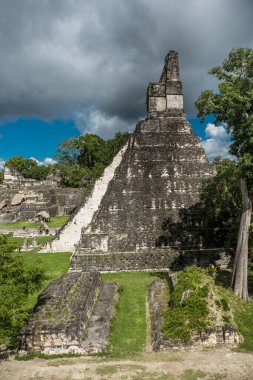 Piramit ve Tikal Park 'taki tapınak. Guatemala 'da Maya tapınakları ve seremoni kalıntıları olan gezici bir nesne. Tikal, Kuzey Guatemala 'daki yağmur ormanlarında bulunan antik bir Maya Kalesidir..