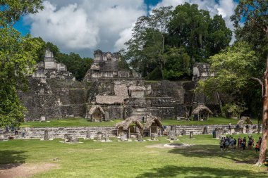 Piramit ve Tikal Park 'taki tapınak. Guatemala 'da Maya tapınakları ve seremoni kalıntıları olan gezici bir nesne. Tikal, Kuzey Guatemala 'daki yağmur ormanlarında bulunan antik bir Maya Kalesidir..