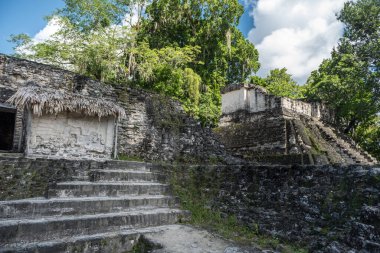 Piramit ve Tikal Park 'taki tapınak. Guatemala 'da Maya tapınakları ve seremoni kalıntıları olan gezici bir nesne. Tikal, Kuzey Guatemala 'daki yağmur ormanlarında bulunan antik bir Maya Kalesidir..