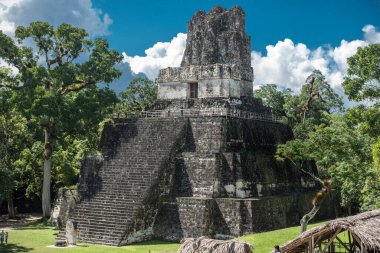 Piramit ve Tikal Park 'taki tapınak. Guatemala 'da Maya tapınakları ve seremoni kalıntıları olan gezici bir nesne. Tikal, Kuzey Guatemala 'daki yağmur ormanlarında bulunan antik bir Maya Kalesidir..
