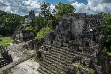 Piramit ve Tikal Park 'taki tapınak. Guatemala 'da Maya tapınakları ve seremoni kalıntıları olan gezici bir nesne. Tikal, Kuzey Guatemala 'daki yağmur ormanlarında bulunan antik bir Maya Kalesidir..