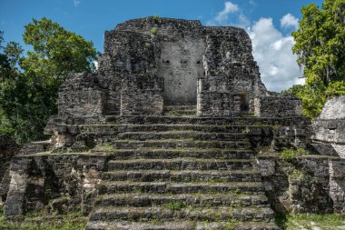 Piramit ve Tikal Park 'taki tapınak. Guatemala 'da Maya tapınakları ve seremoni kalıntıları olan gezici bir nesne. Tikal, Kuzey Guatemala 'daki yağmur ormanlarında bulunan antik bir Maya Kalesidir..