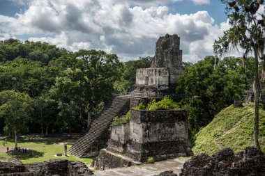 Piramit ve Tikal Park 'taki tapınak. Guatemala 'da Maya tapınakları ve seremoni kalıntıları olan gezici bir nesne. Tikal, Kuzey Guatemala 'daki yağmur ormanlarında bulunan antik bir Maya Kalesidir..