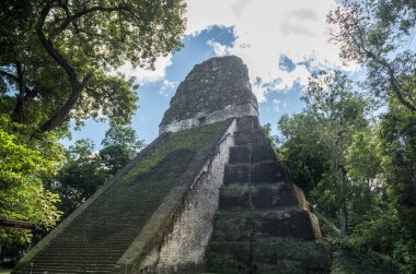 Piramit ve Tikal Park 'taki tapınak. Guatemala 'da Maya tapınakları ve seremoni kalıntıları olan gezici bir nesne. Tikal, Kuzey Guatemala 'daki yağmur ormanlarında bulunan antik bir Maya Kalesidir..