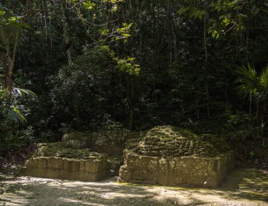 Tikal Park 'taki tapınak. Guatemala 'da Maya tapınakları ve seremoni kalıntıları olan gezici bir nesne. Tikal, Kuzey Guatemala 'daki yağmur ormanlarında bulunan antik bir Maya Kalesidir..