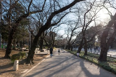 TOKYO, JAPONYA - 18 Şubat 2018: Tokyo, Japonya 'daki Ueno Park. Kış Zamanı.