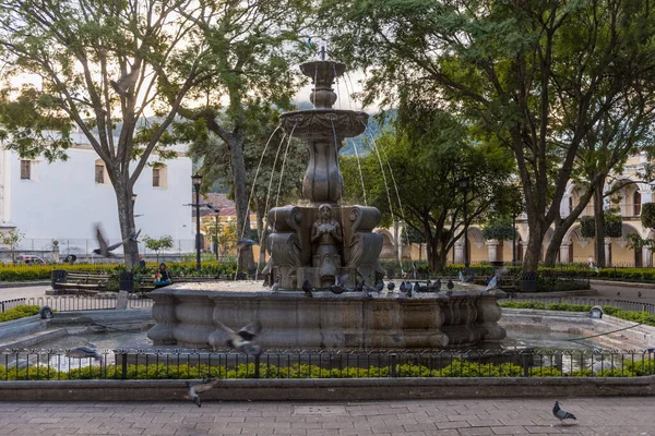 Antigua Guatemala Novembre 2017 Colomba Volante Fontana Central Park Antigua — Foto Stock