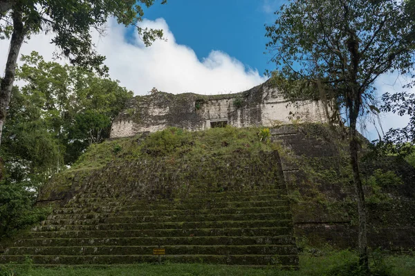 Пирамида Храм Тикаль Парке Осмотр Достопримечательностей Гватемалы Храмами Майя Церемониальными — стоковое фото