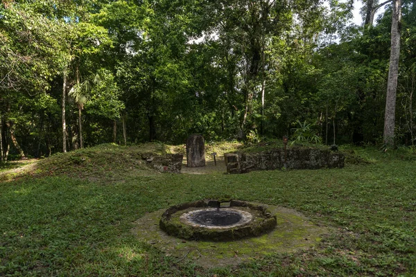Templom Tikal Parkban Városnéző Tárgy Guatemalában Maja Templomokkal Ünnepi Romokkal — Stock Fotó