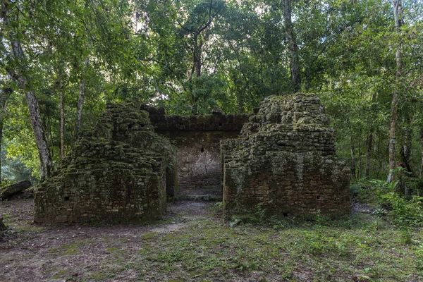 Templo Tikal Park Objeto Turístico Guatemala Con Templos Mayas Ruinas — Foto de Stock