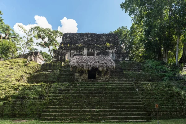 Piramide Tempio Nel Parco Tikal Oggetto Turistico Guatemala Con Templi — Foto Stock