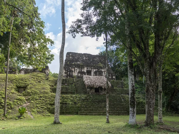 Piramide Tempio Nel Parco Tikal Oggetto Turistico Guatemala Con Templi — Foto Stock
