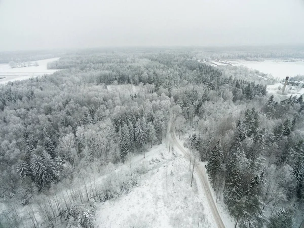Paisaje Invierno Lituania Árbol Nevado Bosque —  Fotos de Stock