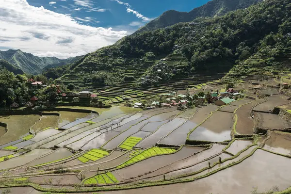 Banaue Filipinas Lugar Turístico Para Rice Terrazas Naturaleza Paisaje Las — Foto de Stock
