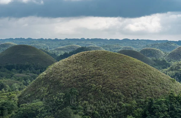 フィリピンのボホールにあるチョコレートの丘 少なくとも1 260の丘がありますが 776の丘があるかもしれません フィリピンで最も有名な観光地の一つ — ストック写真