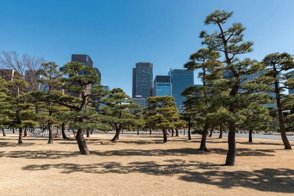 背景は東京シティ 前景はスカイスクレーパーとクリアブルースカイ 院宮に近い — ストック写真