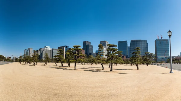 背景は東京シティ 前景は公園 透明度の高い青空を望む高層ビル群 院宮に近い パノラマ写真 — ストック写真