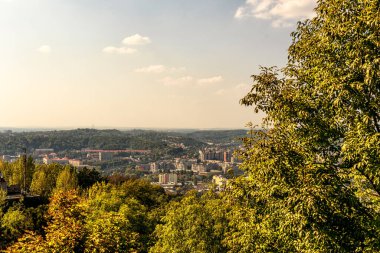 Lviv Cityscape. Ukrayna. Arkaplanda Ağaç ve Lviv Şehri