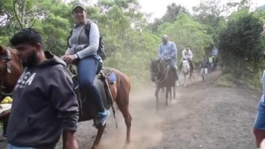 Atlar ve Turistler Guatemala 'daki Pacaya Volkanı' nda Hizmet Kullanıyorlar.