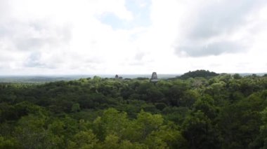Tikal Piramitleri Guatemala Tikal Ulusal Parkı 'nda. Maya Harabeleri, Tapınak, Maya Flores Peten.
