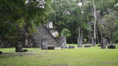 Tikal Piramitleri Guatemala Tikal Ulusal Parkı 'nda. Maya Harabeleri, Tapınak, Maya Flores Peten.