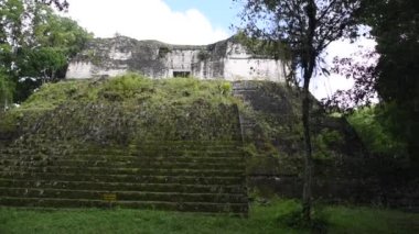 Tikal Piramitleri Guatemala Tikal Ulusal Parkı 'nda. Maya Harabeleri, Tapınak, Maya Flores Peten.