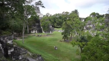 Tikal Piramitleri Guatemala Tikal Ulusal Parkı 'nda. Maya Harabeleri, Tapınak, Maya Flores Peten.