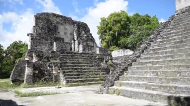 Tikal Piramitleri Guatemala Tikal Ulusal Parkı 'nda. Maya Harabeleri, Tapınak, Maya Flores Peten. Jaguar Tapınağı