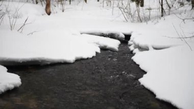 Bir nehrin kış manzarası, su yavaşça nehirden aşağı akıyor. Nehirde eriyen buzlar. Litvanya