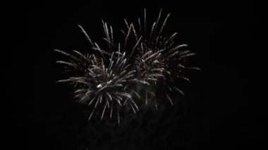 Gece havai fişekler. Karanlık Gök ve Renkli Patlama. Festival