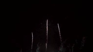Gece havai fişekler. Karanlık Gök ve Renkli Patlama. Festival