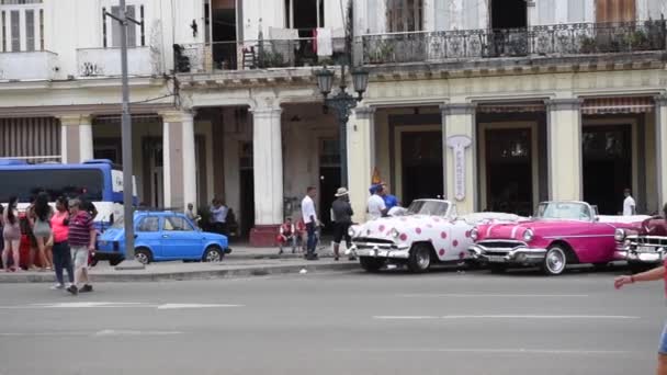 Старые Уникальные Автомобили Гаване Куба Красочный Осмотр Достопримечательностей — стоковое видео
