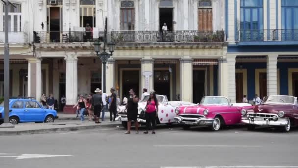 Vieilles Voitures Uniques Havane Cuba Coloré Visites Guidées — Video