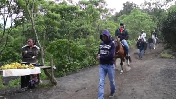 Hästar Och Turister Använder Tjänsten Resa Pacaya Vulkan Guatemala — Stockvideo