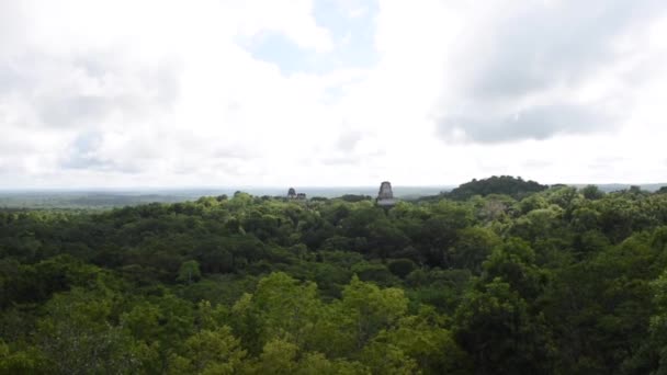 Pirâmides Tikal Parque Nacional Guatemala Tikal Ruínas Maias Templo Maya — Vídeo de Stock