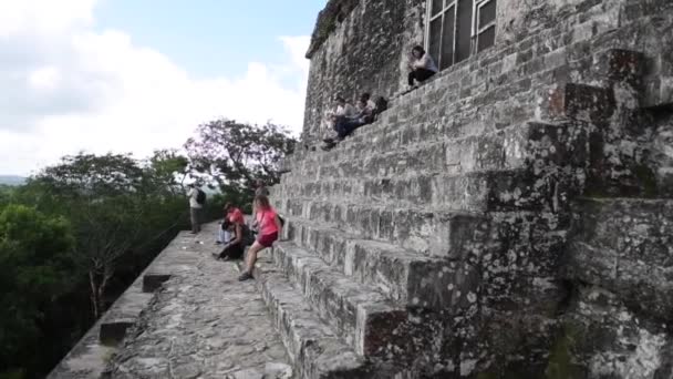 Tikal Pyramids Národním Parku Guatemala Tikal Mayské Trosky Chrám Maya — Stock video