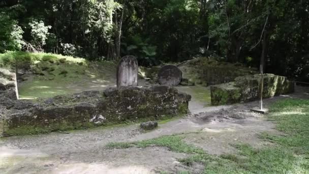 Tikal Pyramids Národním Parku Guatemala Tikal Mayské Trosky Chrám Maya — Stock video