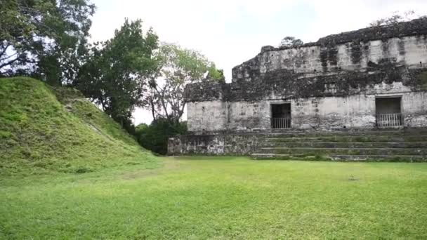 危地马拉Tikal国家公园的Tikal金字塔 Mayan Ruins Temple Maya Flores Peten — 图库视频影像