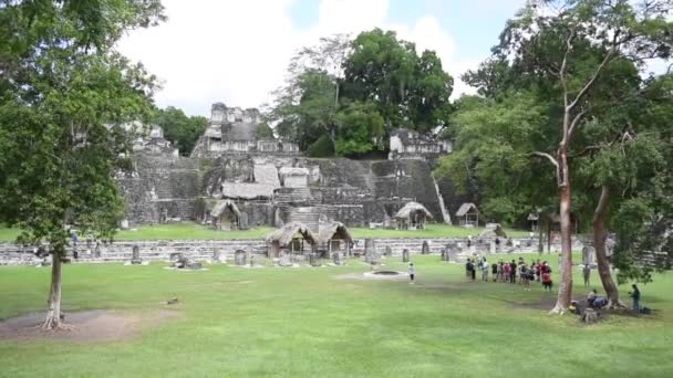 グアテマラのティカル ピラミッドティカル国立公園 マヤ遺跡寺院マヤ フローレス ペテン — ストック動画