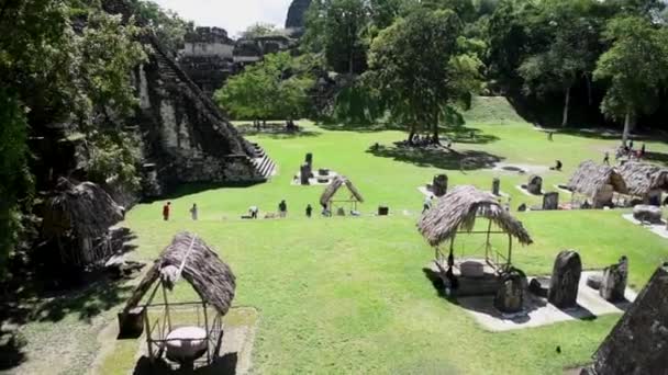 Tikal Pyramiderna Guatemala Tikal National Park Maya Ruiner Temple Maya — Stockvideo