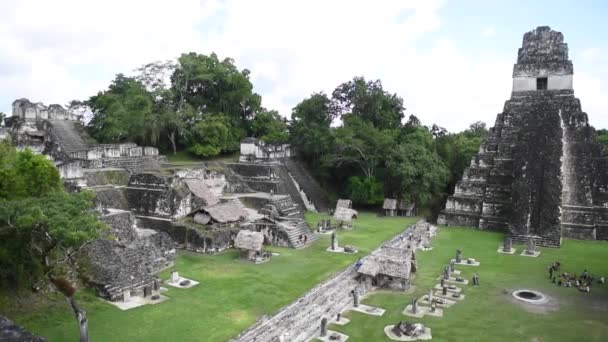 Tikal Piramitleri Guatemala Tikal Ulusal Parkı Nda Maya Harabeleri Tapınak — Stok video