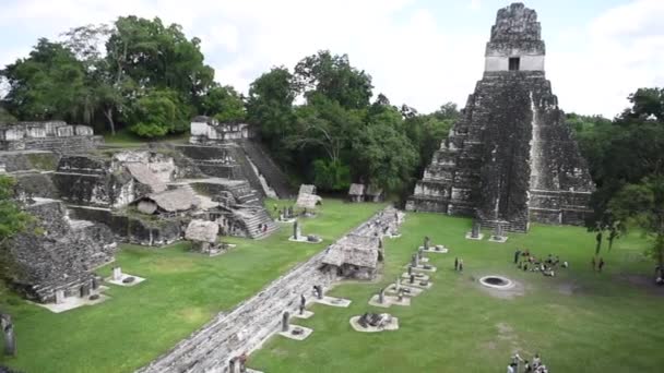 Піраміди Тікаль Гватемальському Національному Парку Тікал Маян Руїнс Храм Майя — стокове відео