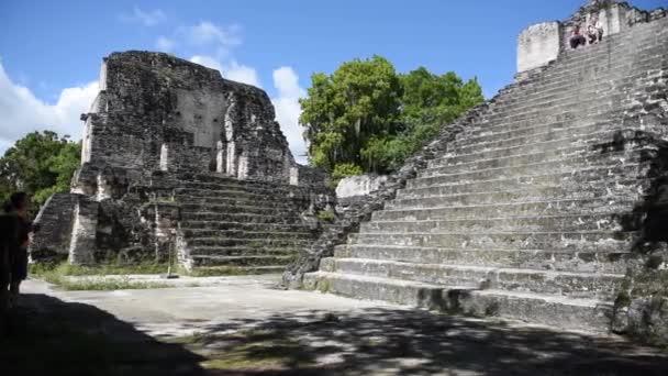 危地马拉Tikal国家公园的Tikal金字塔 Mayan Ruins Temple Maya Flores Peten 美洲虎寺 — 图库视频影像