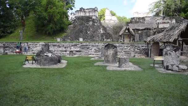 グアテマラのティカル ピラミッドティカル国立公園 マヤ遺跡寺院マヤ フローレス ペテン ジャガー寺院 — ストック動画