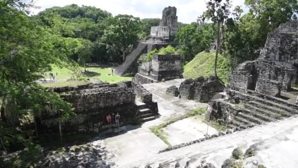 危地马拉Tikal国家公园的Tikal金字塔 Mayan Ruins Temple Maya Flores Peten 美洲虎寺 — 图库视频影像