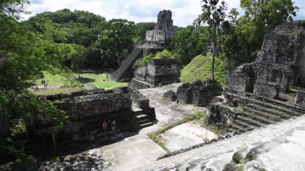 Πυραμίδες Tikal Στο Εθνικό Πάρκο Tikal Της Γουατεμάλας Καταστροφές Μάγια — Αρχείο Βίντεο