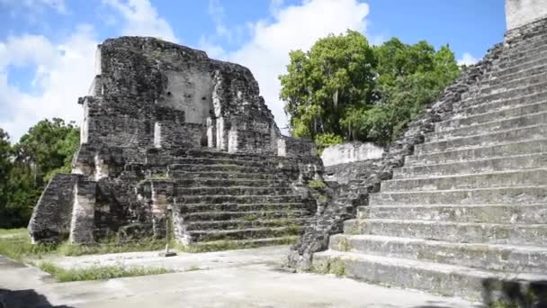 Tikal Pyramids Guatemala Tikal National Park Mayan Ruins Temple Maya — Stock Video
