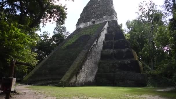 グアテマラのティカル ピラミッドティカル国立公園 マヤ遺跡寺院マヤ フローレス ペテン — ストック動画