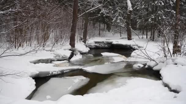 冬天的风景是一条河 河水缓缓流过河流 融化的冰在河上 立陶宛 — 图库视频影像