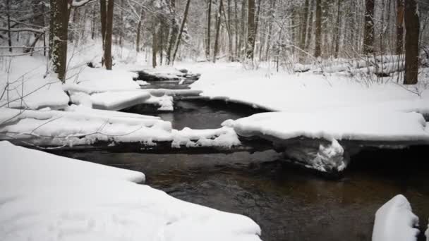 冬天的风景是一条河 河水缓缓流过河流 融化的冰在河上 立陶宛 — 图库视频影像